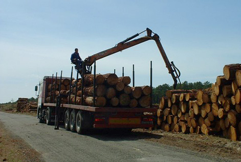 Transport de grumes