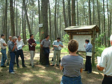 Visite en forêt