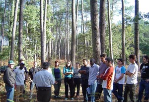 Les étudiants en forêt