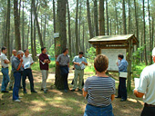 Visites en forêt