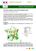 Couverture de Les dégats aux plantations résineuses, en particulier dus à l'hylobe, en 2006